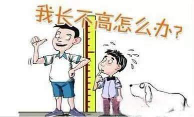 兒童身高體重測量儀談孩子“矮小”和“晚長”的區(qū)別