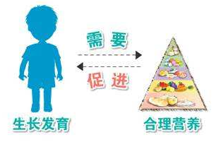 兒童生長發(fā)育測試儀分析生長發(fā)育的特點(diǎn)